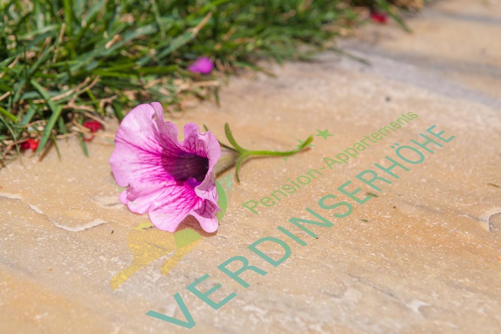 שנה Pension Verdinserhoehe מראה חיצוני תמונה